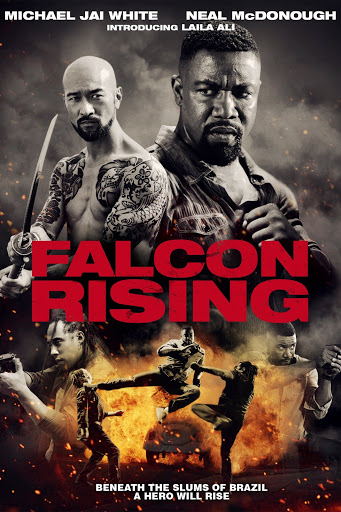 Falcon Rising movie poster